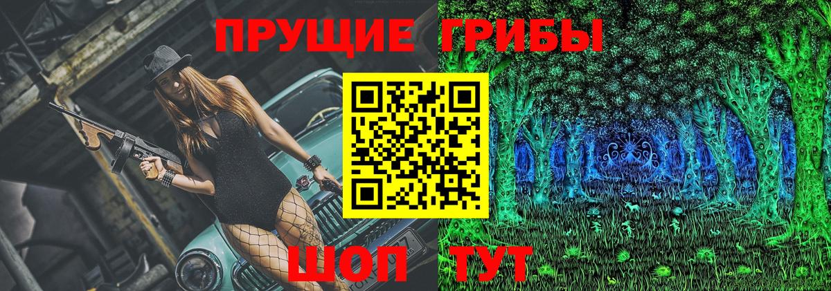Димитровград  Псилоцибиновые грибы мухоморы  купить   Вход с VPN  Псилоцибиновые грибы MAGIC MUSHROOMS 