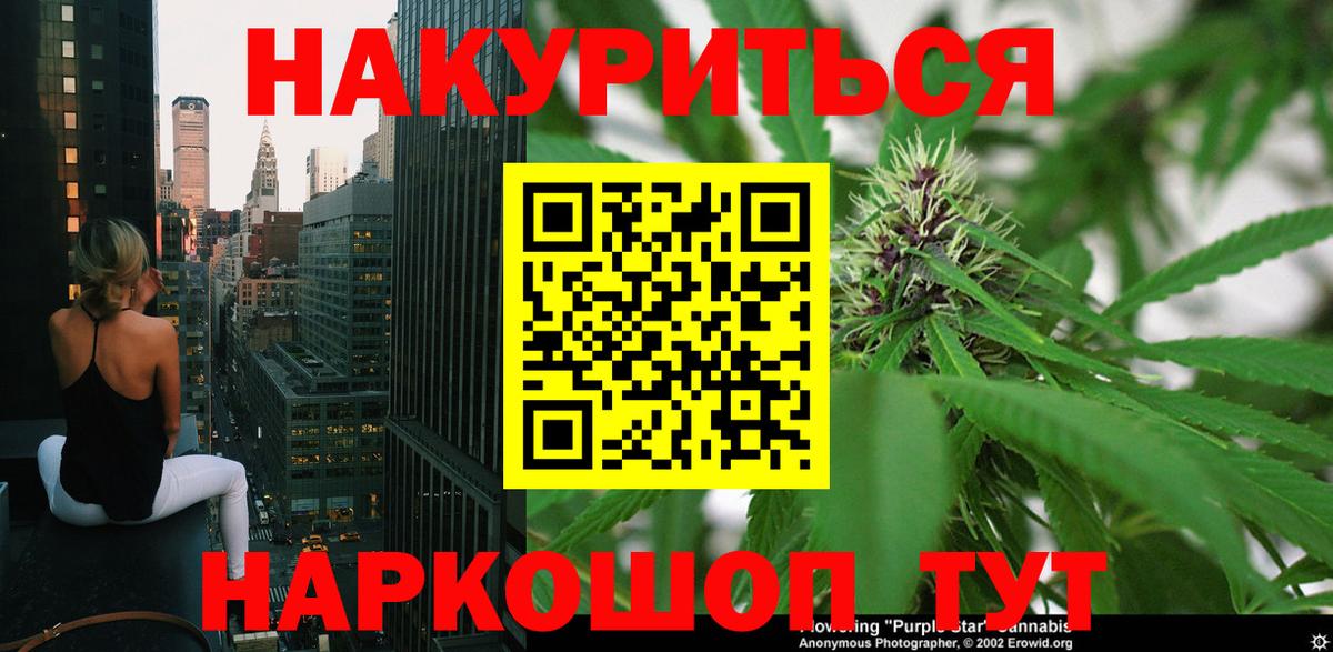 Каннабис план  Бошки Шишки планчик  Димитровград  Вход с VPN  Шишки марихуана OG Kush 